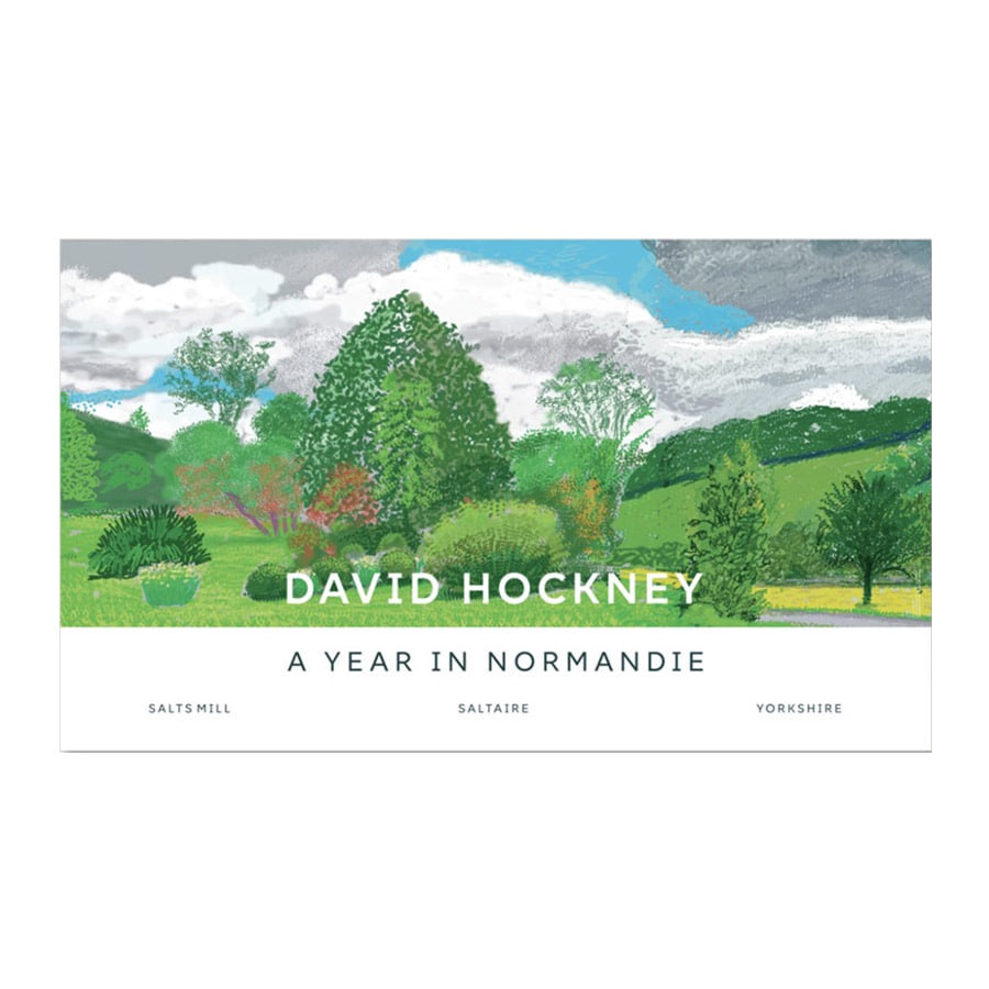 데이비드 호크니 Trees 58.6 x 99.6 (액자 포함)
