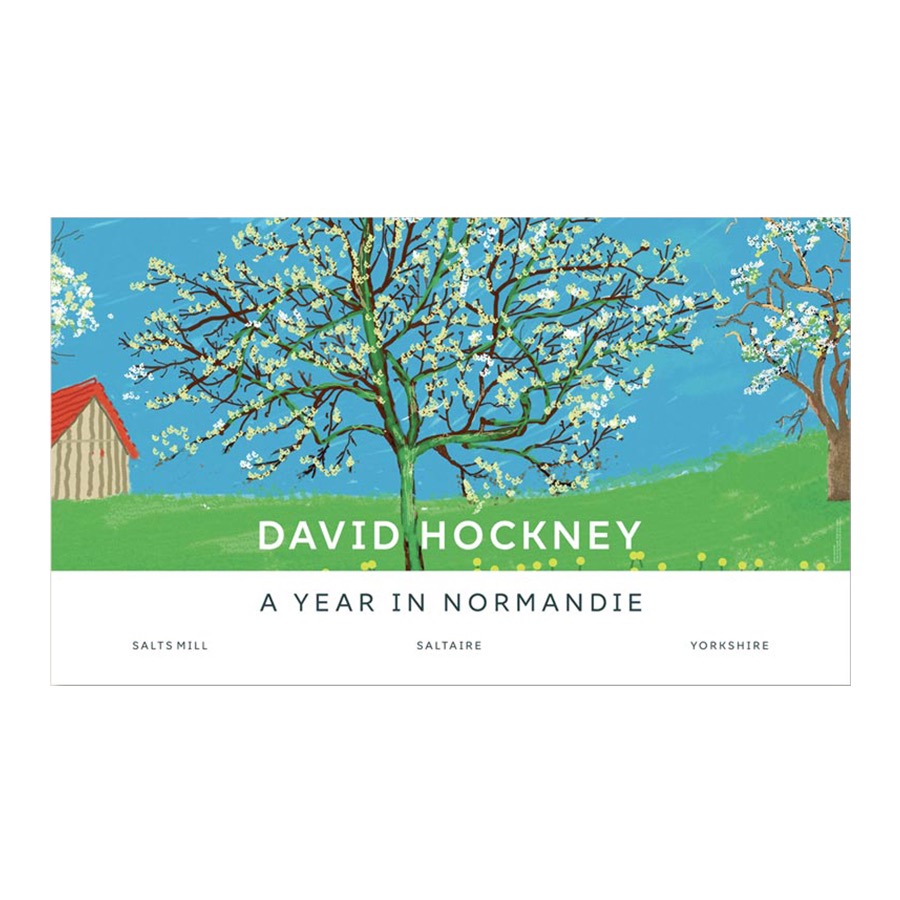 데이비드 호크니 Blossom Tree 58.6 x 99.6 (액자 포함)